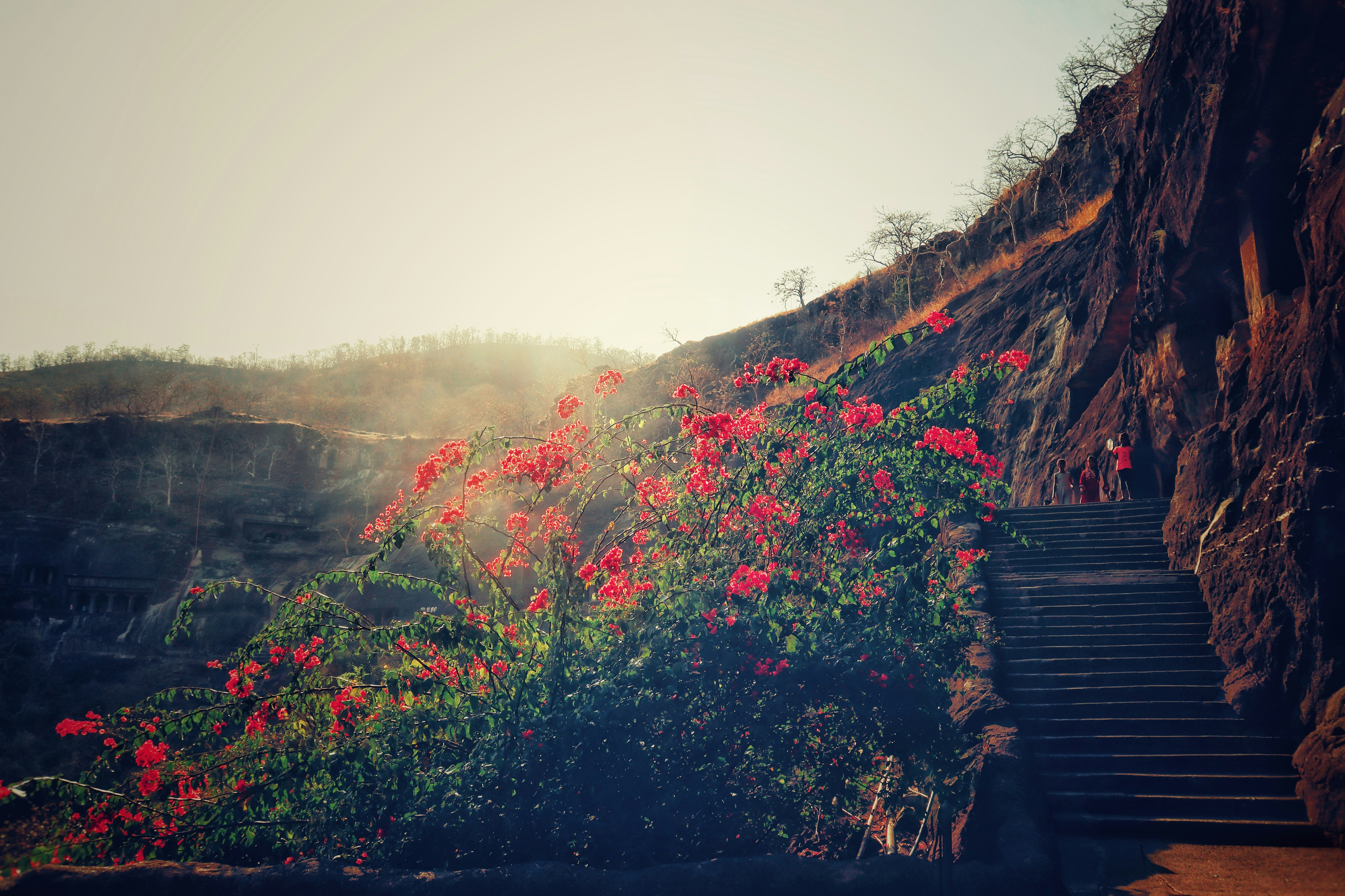 Ellora Caves – architectural details