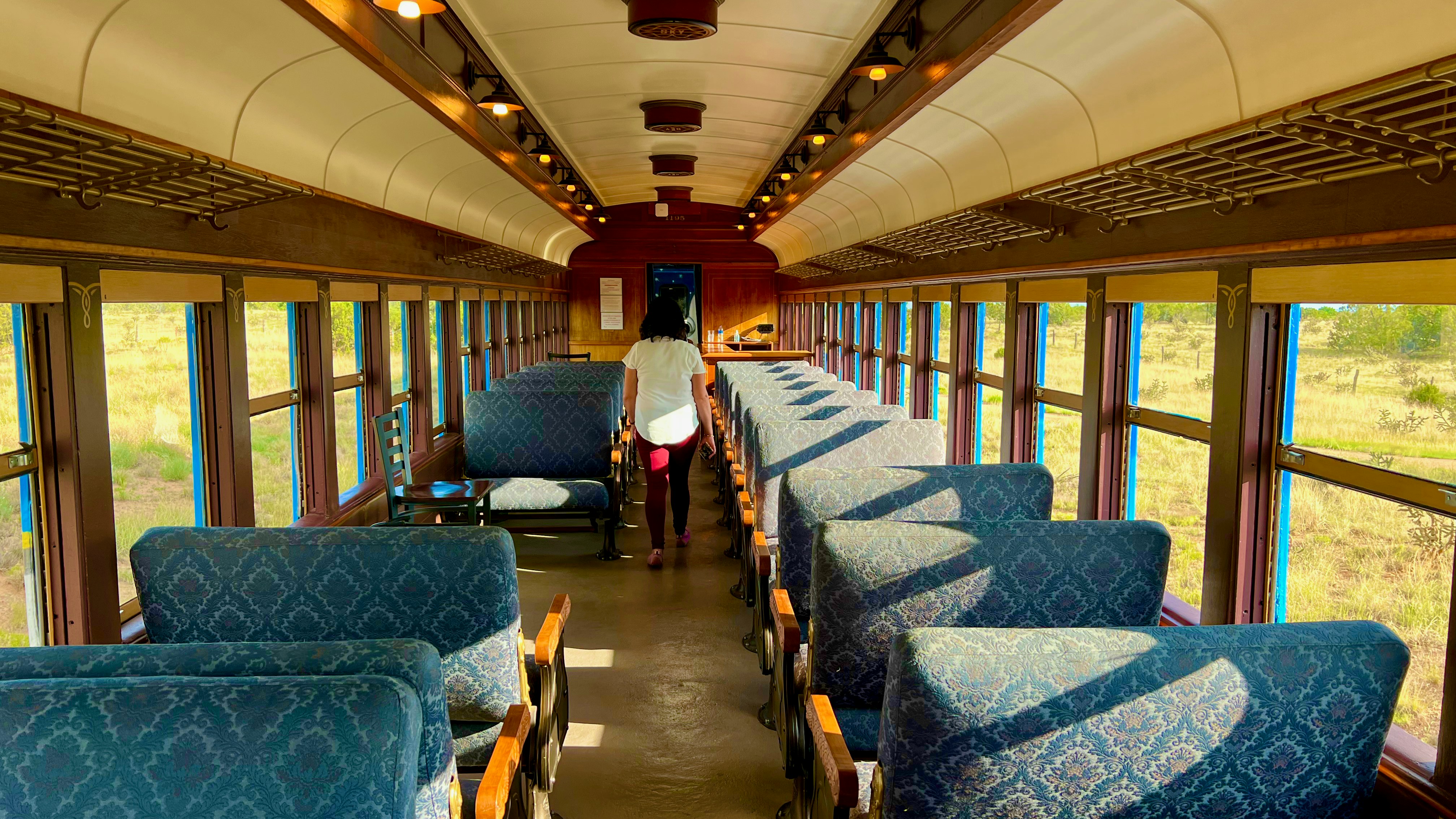 Luxury Train Journeys in India: Opulence on Rails