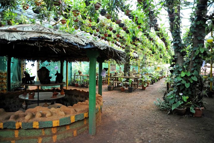 Mapro garden – strawberries and café